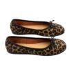 Leopardo