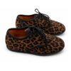 Leopardo